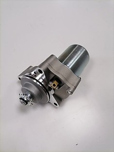 Электростартер  (Delta, Aipha) ST